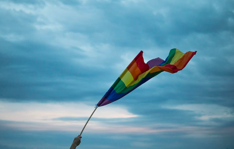 Screenshot_2020-08-19+person,+holding,+lgbt+flag,+raising,+b